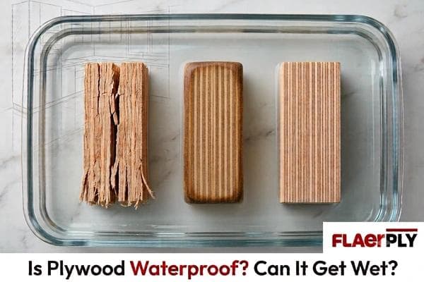 Is Plywood Waterproof? Can It Get Wet? | FlaerPly Guide